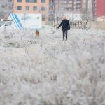 Fuerte helada en la capital leonesa