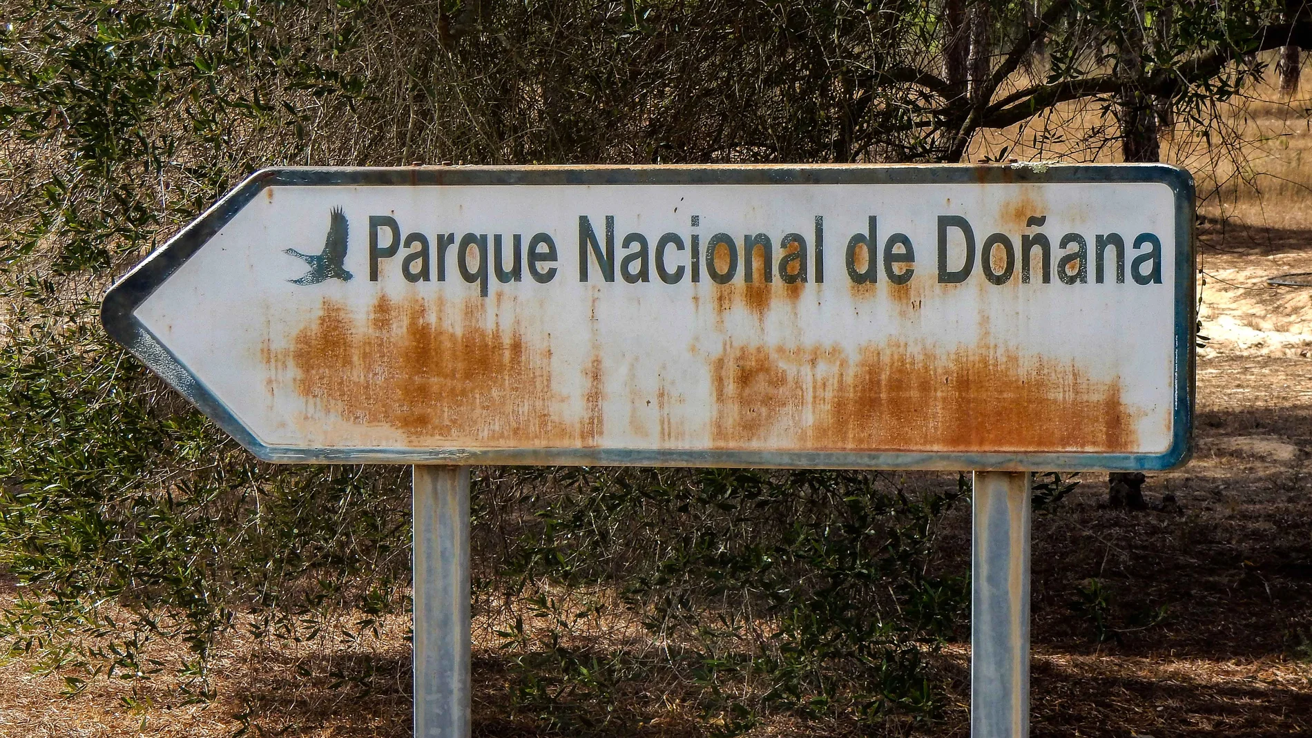 Las provincias de Huelva y Sevilla comparten el espacio natural protegido de Doñana