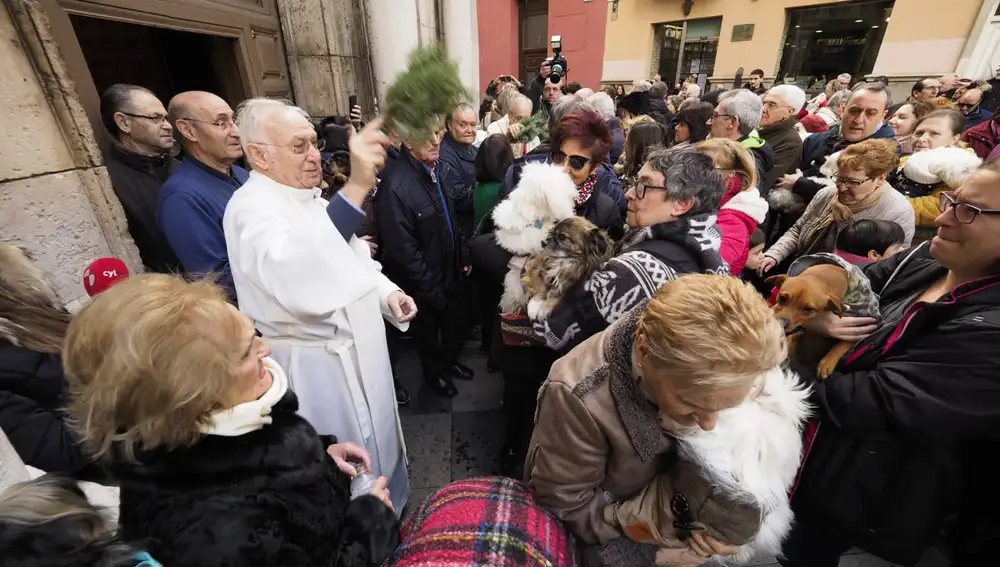 Dueños y mascotas se agolpan a las puertas de la Iglesia de El Salvador de Valladolid para la bendición de los animales por San Antón