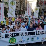 PP, Ciudadanos y Vox secundan hoy las manifestaciones previstas contra la aplicación de la ley del plurilingüismo. En la imagen, una concentración en Alicante