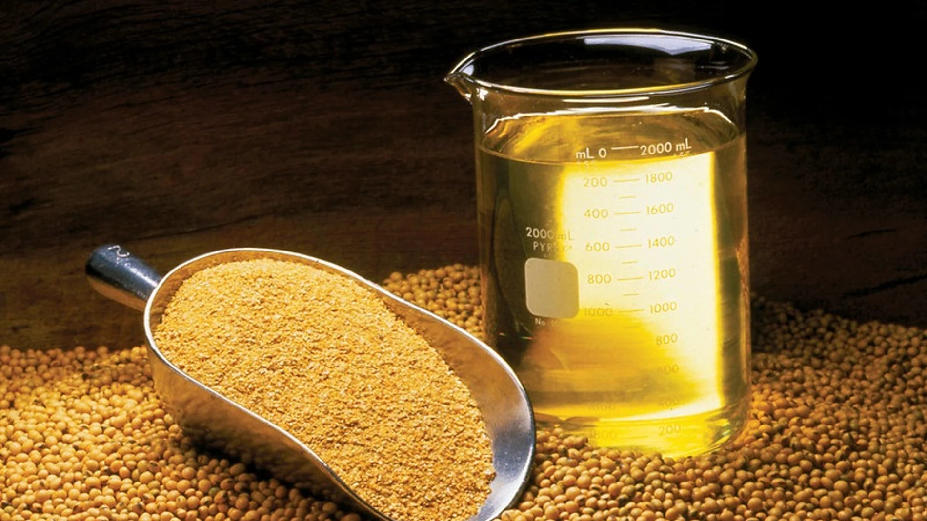 El aceite de soja, vinculado a cambios metabólicos y neurológicos, según un estudio en ratones