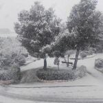 Imagen de la nieve en Moratalla