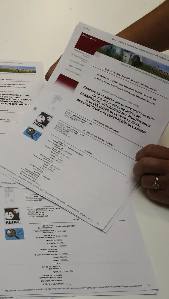 Registros en el SIAMU donde varios perros fueron registrados &quot;antes de nacer&quot; por la veterinaria investigada / Connie G. Santos