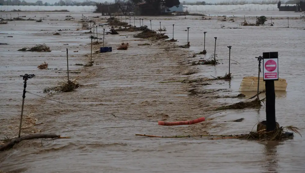 Imagen de archivo de un temporal de lluvia en Cataluña, en Tordera EFE/ Alejandro García