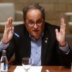 Quim Torra tendrá que dejar el acta de diputado en el Parlament EFE/ Quique García