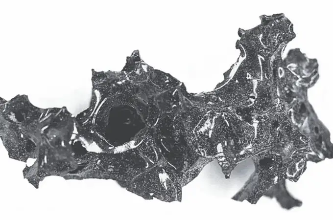 El cerebro con forma de joya y 2.000 años de antigüedad que cristalizó el Vesubio