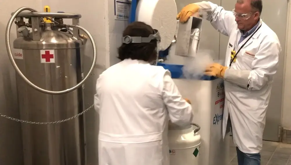 La muestra del tratamiento CAR-T se transporta congelada y se conserva en el servicio de Farmacia Hospitalaria de La Fe en un tanque con nitrógeno líquido a una temperatura de 180 grados bajo cero