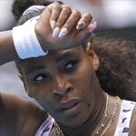 Serena Williams con un koala en su índice