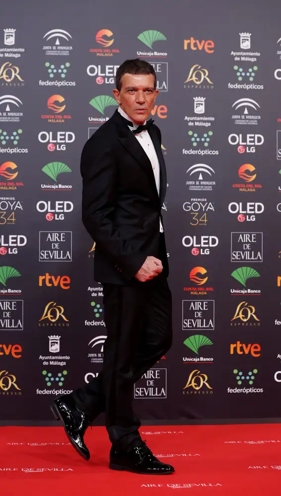 El actor Antonio Banderas a su llegada a la entrega de los Premios Goya 2020 que se celebra esta noche en el Palacio de los Deportes José María Martín Carpena de Málaga
