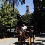 Imagen de archivo de un coche de caballos en Sevilla