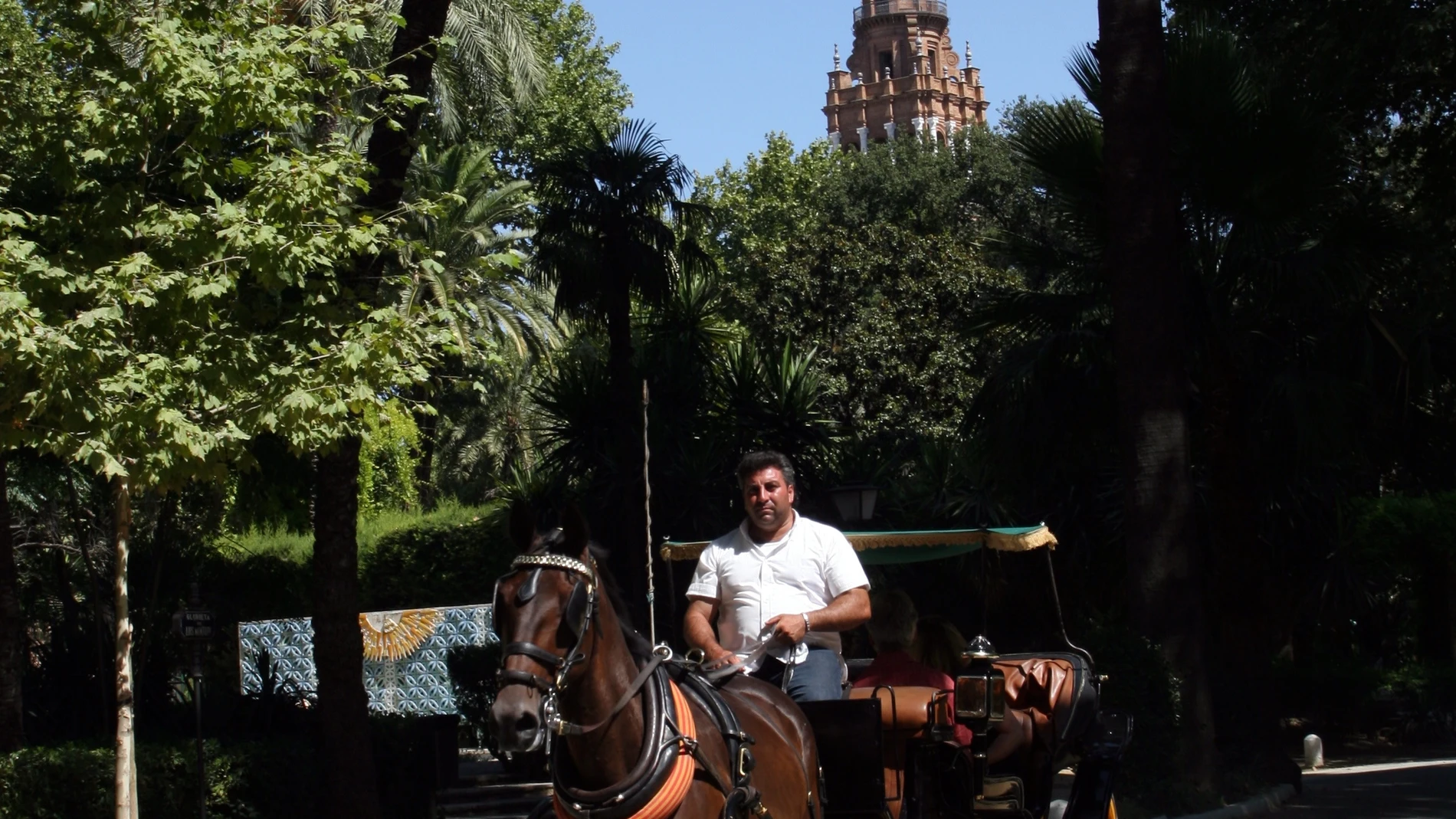 Sevilla.- Ayuntamiento abre el plazo para los aspirantes a ser cocheros de caballos, que tendrán que pasar un examen