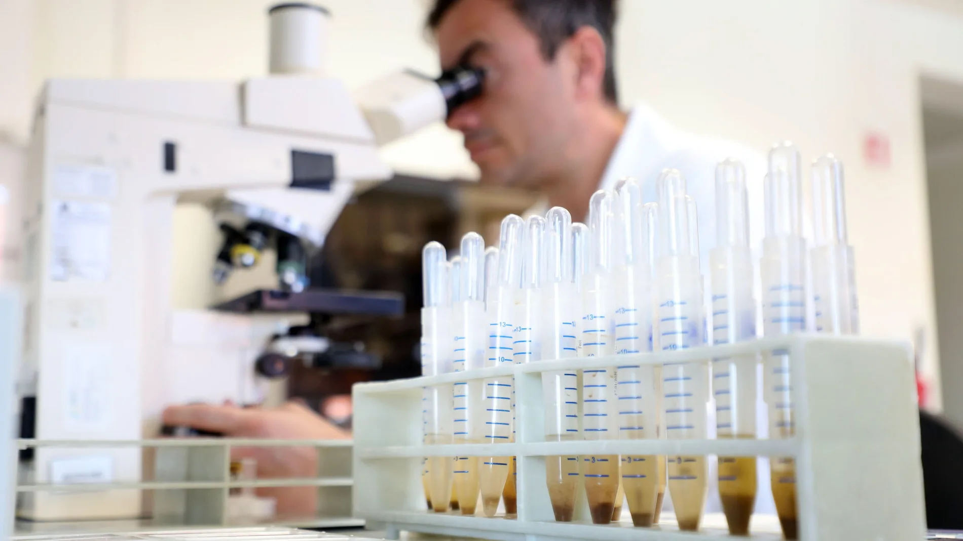 Researchers at work for possible emergency of the Coronavirus