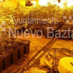 Desmantelado un punto de distribución y procesado de marihuana en Nuevo Baztán