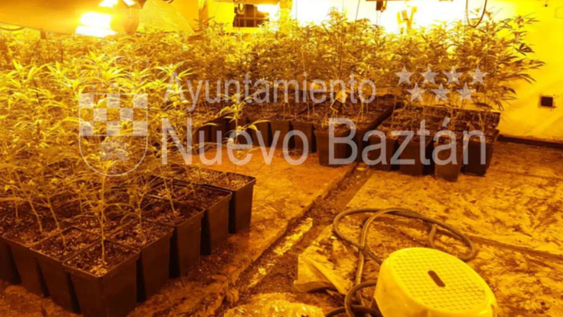 Desmantelado un punto de distribución y procesado de marihuana en Nuevo Baztán