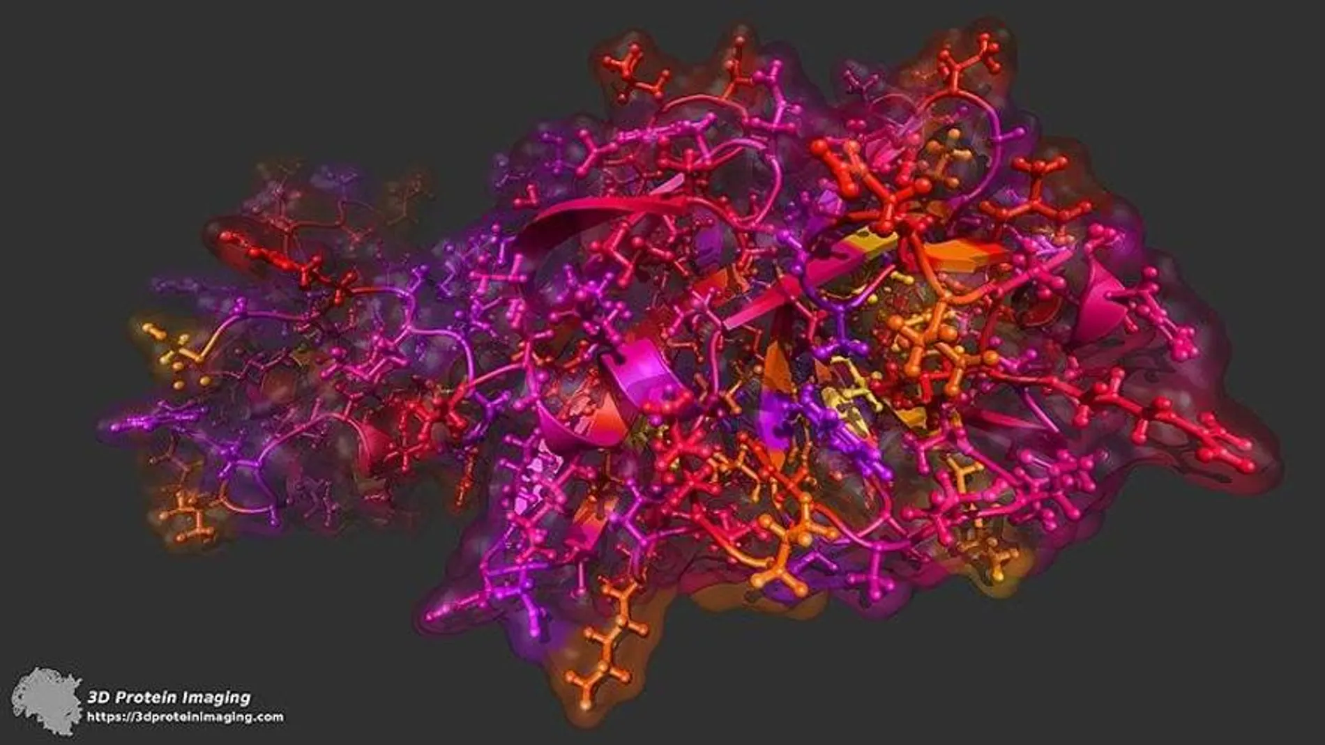 Representación tridimensional de la estructura proteica del nuevo coronavirus.