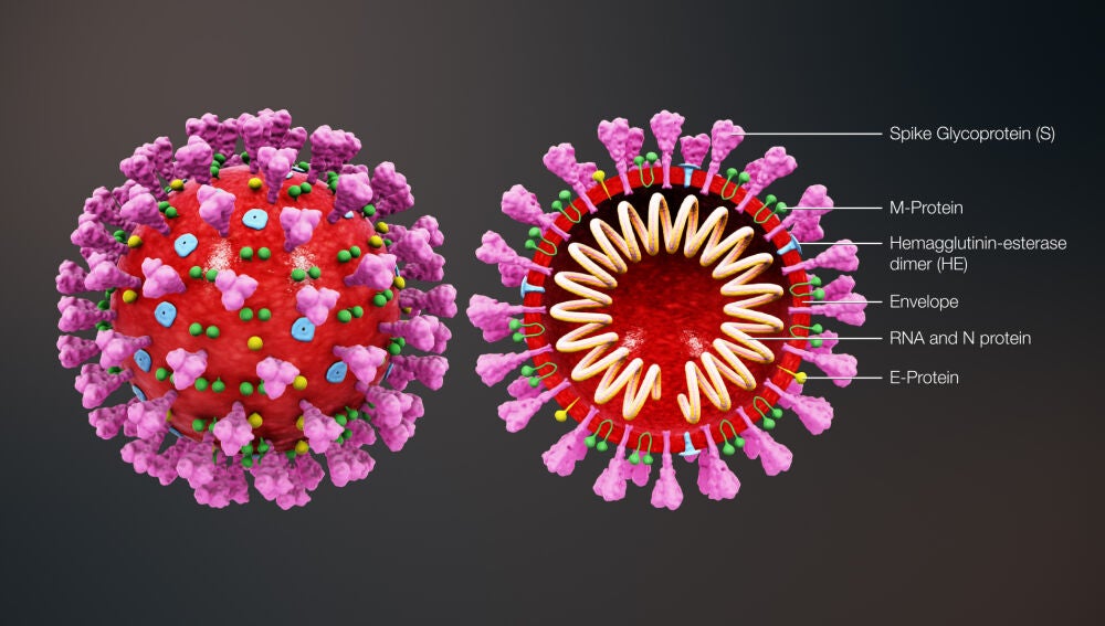 Las Promesas Científicas Contra El Coronavirus