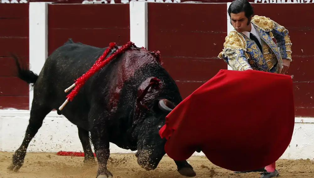 El torero español Morante de la Puebla lidia su primer toro de la tarde, este domingo en la temporada taurina 2020, que se realiza en la plaza de toros La Santamaría, de Bogotá (Colombia)