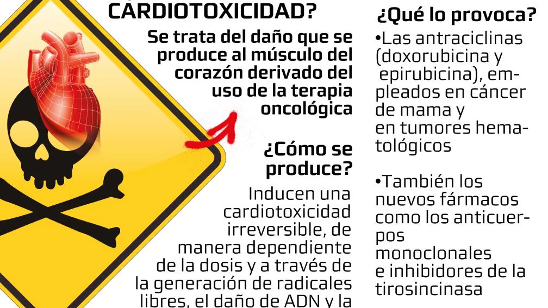 cardio toxicidad