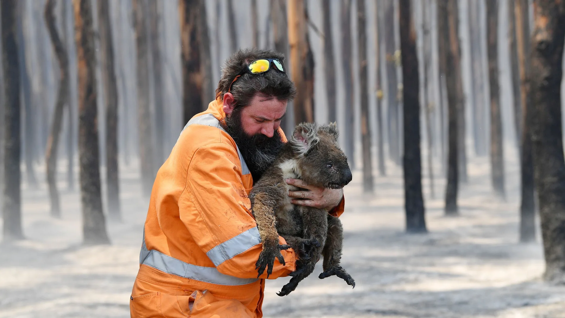 Adelaide wildlife rescuer Simon Adamczyk is seen with a koala rescued at a burning forest near Cape Borda on Kangaroo Island, southwest of Adelaide, Australia, January 7, 2020. AAP Image/David Mariuz/via REUTERS ATTENTION EDITORS - THIS IMAGE WAS PROVIDED BY A THIRD PARTY. NO RESALES. NO ARCHIVE. AUSTRALIA OUT. NEW ZEALAND OUT. TPX IMAGES OF THE DAY