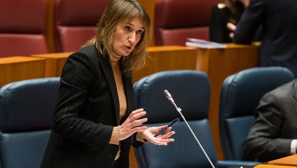 La consejera de Educación, Rocío Lucas, interviene en el Pleno de las Cortes de Castilla y León