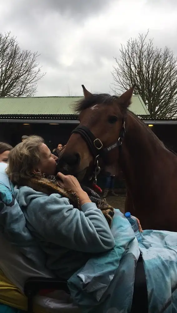 Esta mujer tenía una relación muy especial con su caballo y pudo salir del hospital para verle por última vez