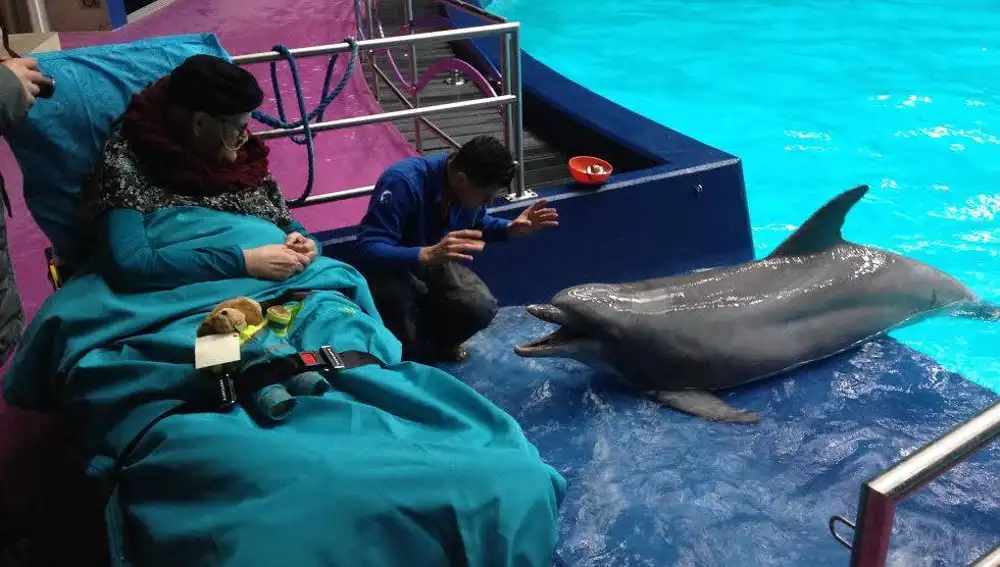 Una mujer pudo acudir a un delfinario e interactuar con estos simpáticos animales