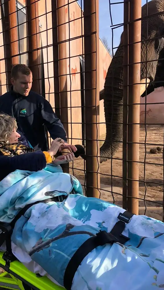 Otra paciente pudo cumplir su sueño de alimentar a un elefante