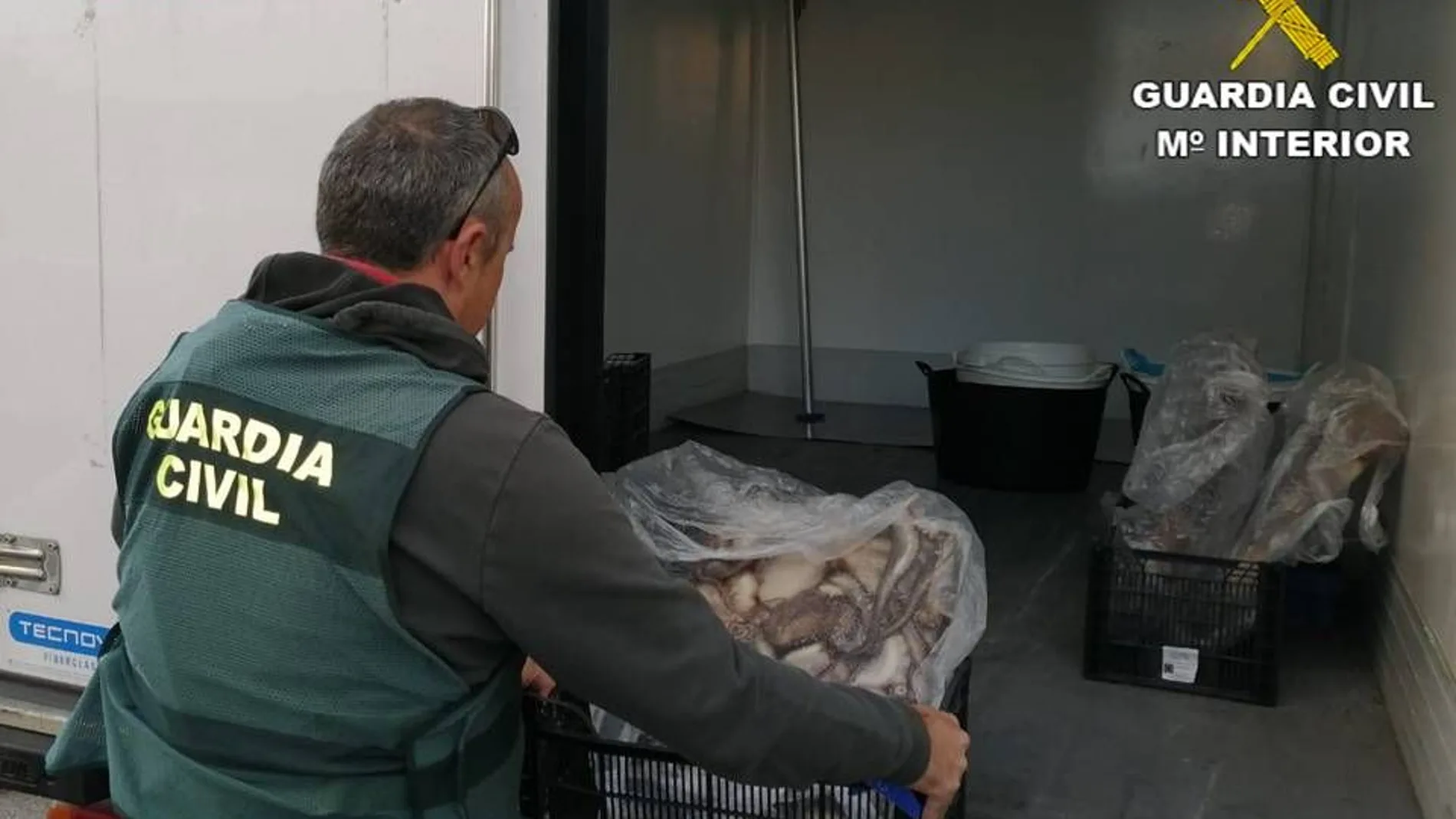 Un guardia introduce en una camioneta el pescado intervenido. Tras su análisis sanitario ha sido donado a entidades sociales