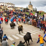 Carnaval del Toro de Ciudad Rodrigo