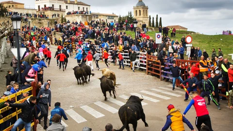 Carnaval del Toro de Ciudad Rodrigo