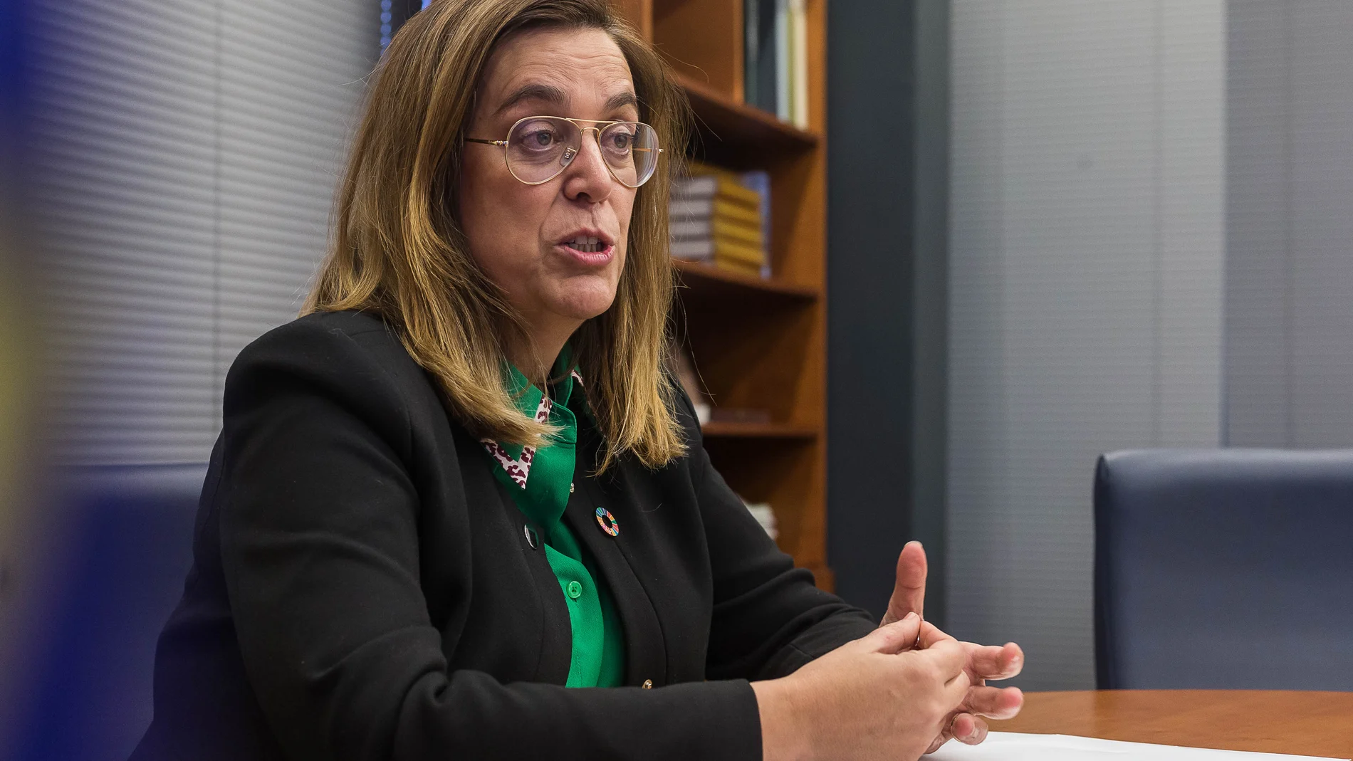 La presidenta de la Diputación de Palencia, Ángeles Armisén