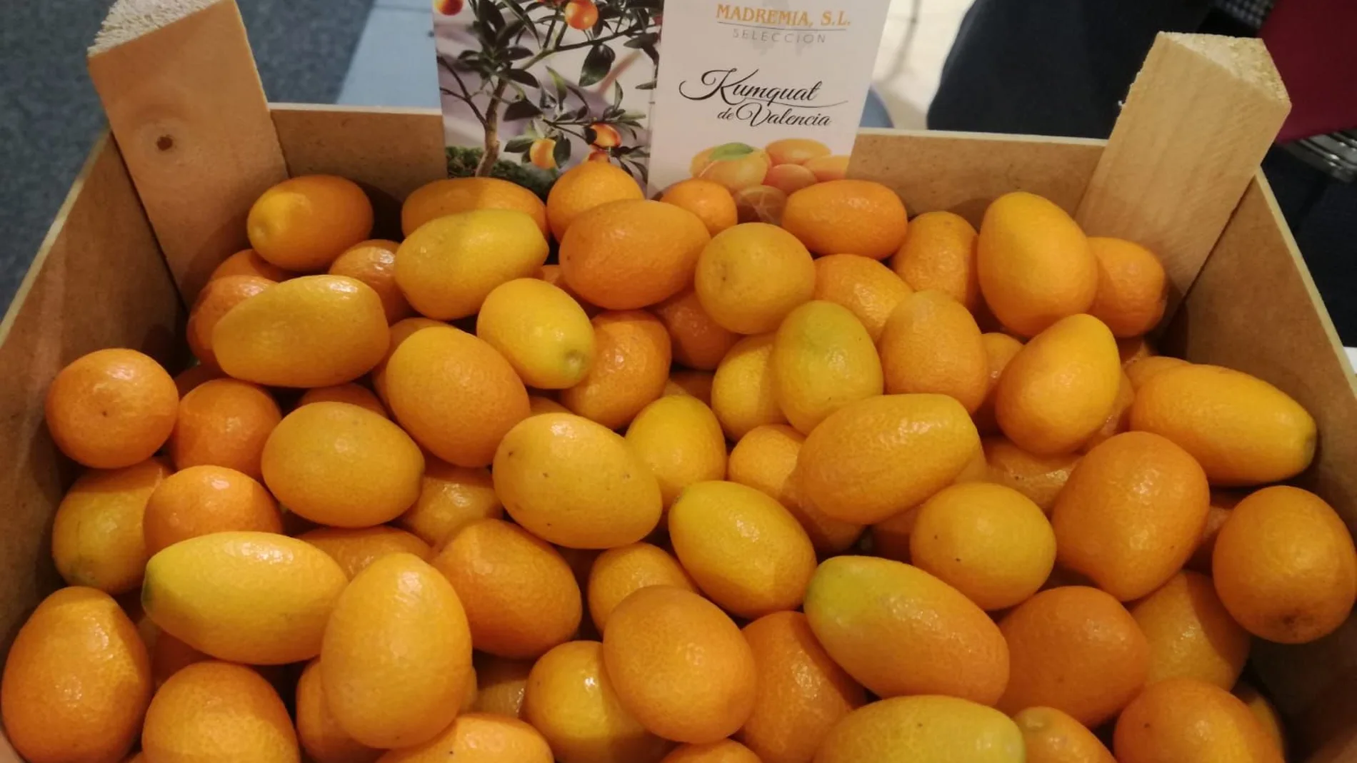 Las conocidas como «naranjas de la china» se llaman realmente Kumkuat