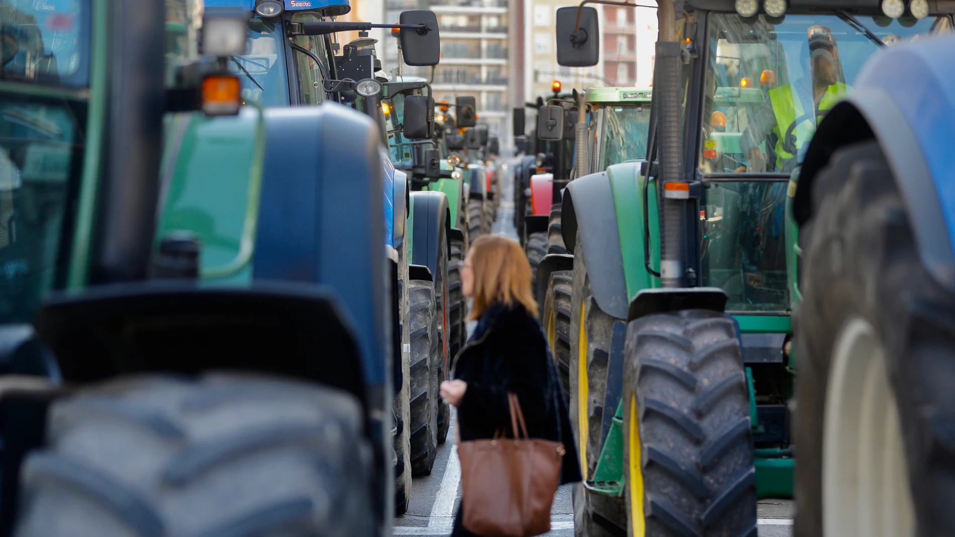 Manifestación de agricultores y ganaderos en Valencia para denunciar su "situación límite"