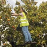Pelando la naranja