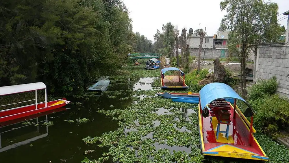 Canal de agua del río Xochimilco, en Ciudad de México.