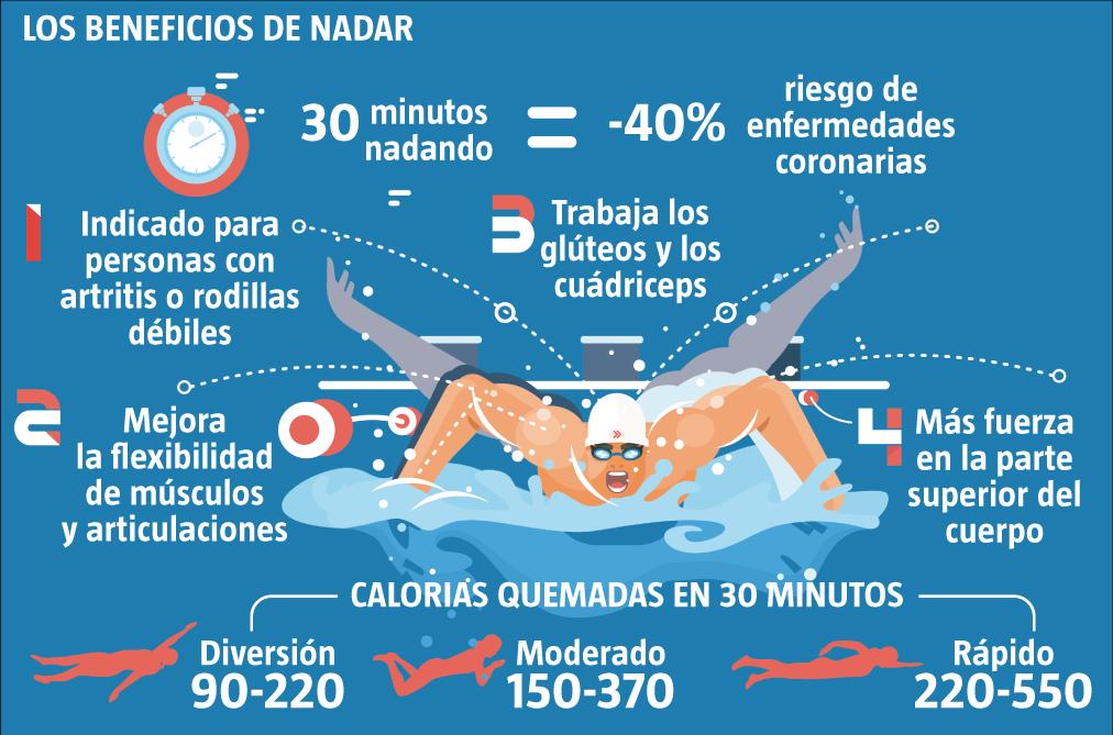 🌎 Estudio sobre los Beneficios de la Natación con Aletas: Nadar con  bialetas quema calorías y fortalece el corazón –