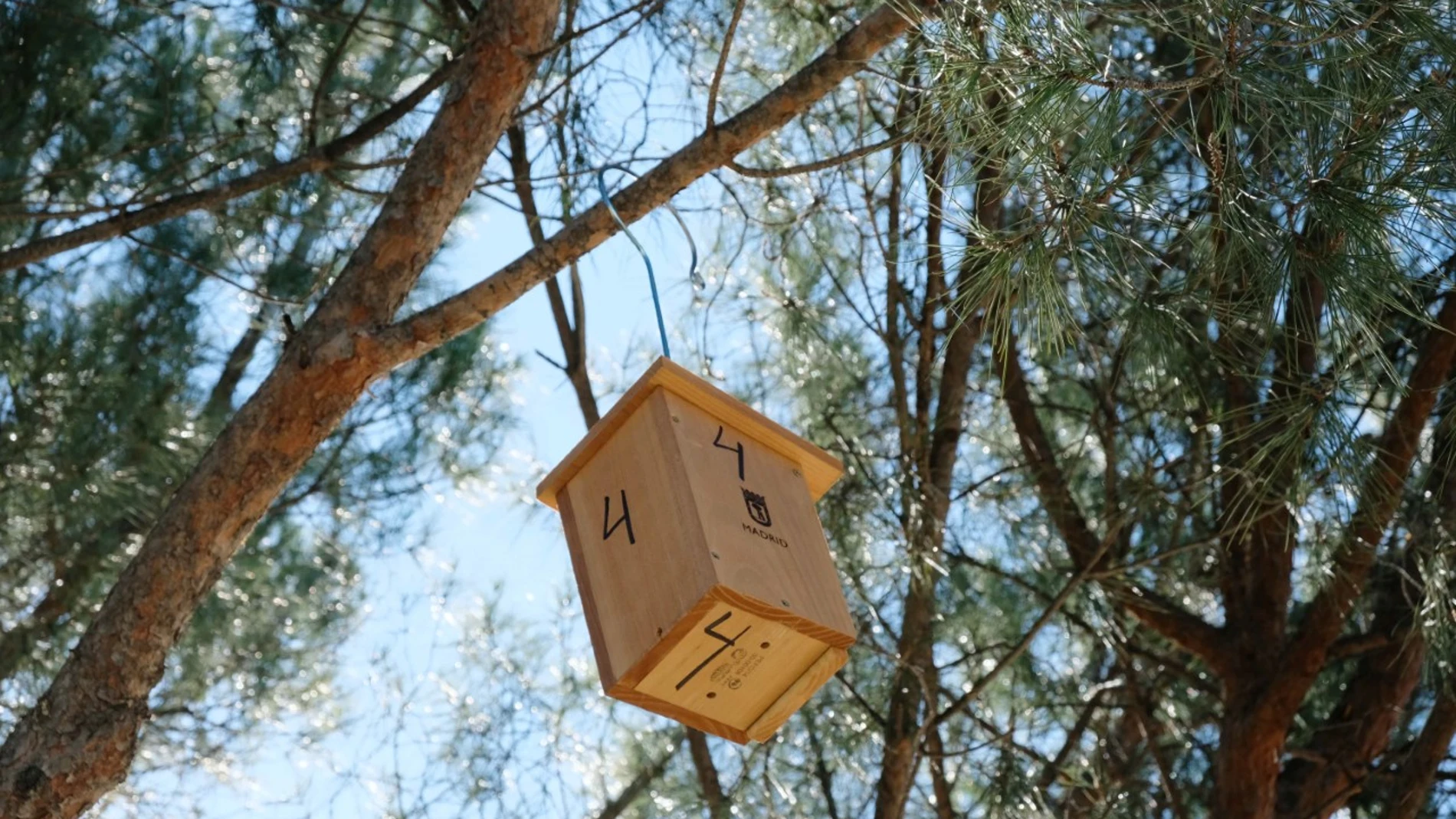 Una de las cajas instaladas ayer en un parque de la capital