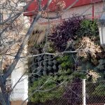 Un jardín vertical compuesto por romero rastrero, ficus trepador y espliego, entre otras variedades de flora, permite a un colegio valenciano limpiar las aguas sucias de lavabos y duchas para reutilizarla como riego, además de reducir la temperatura y el consumo energético en las aulas.