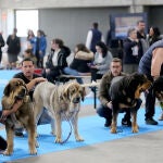 La Feria de Valladolid acoge una nueva edición de Fimascota