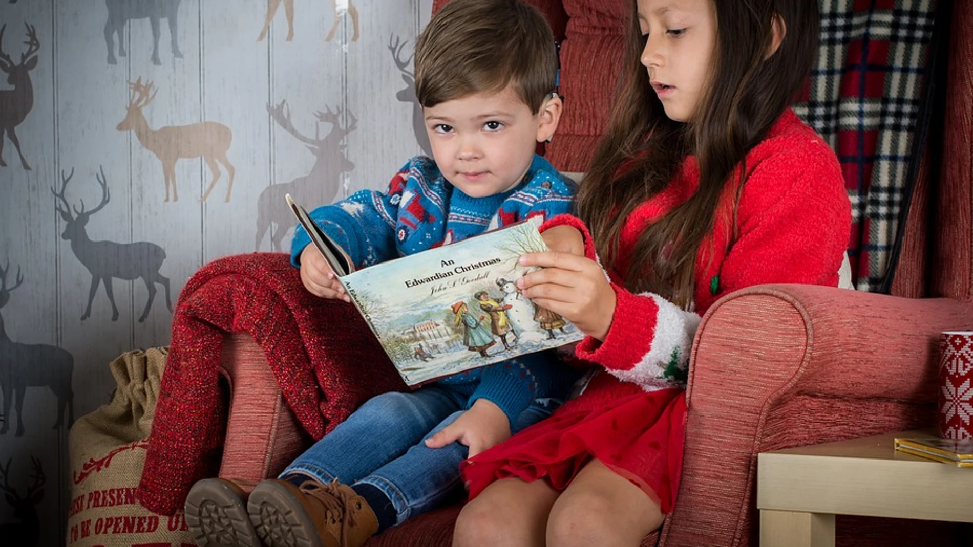 Coordino el programa de "dinamización de bibliotecas escolares" de la Fundación SM "Biblionáutica"Colaboro con Heraldo Escolar (sección escolar de Heraldo de Aragón) desde hace más de 3 años con crítica de literatura infantil y juvenil y noticias y entrevistas en torno a la lectura.