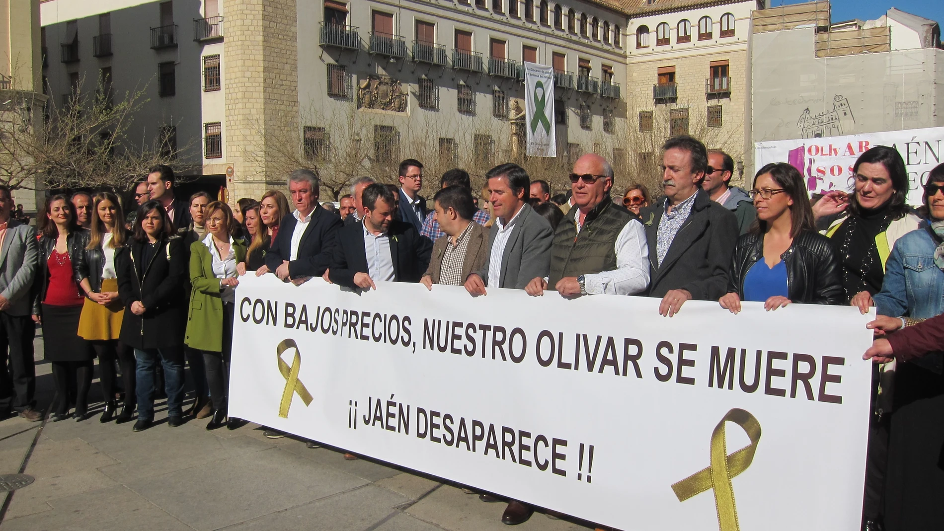 Jaén.- La capital se suma a las concentraciones por el olivar con un seguimiento "masivo" en toda la provincia