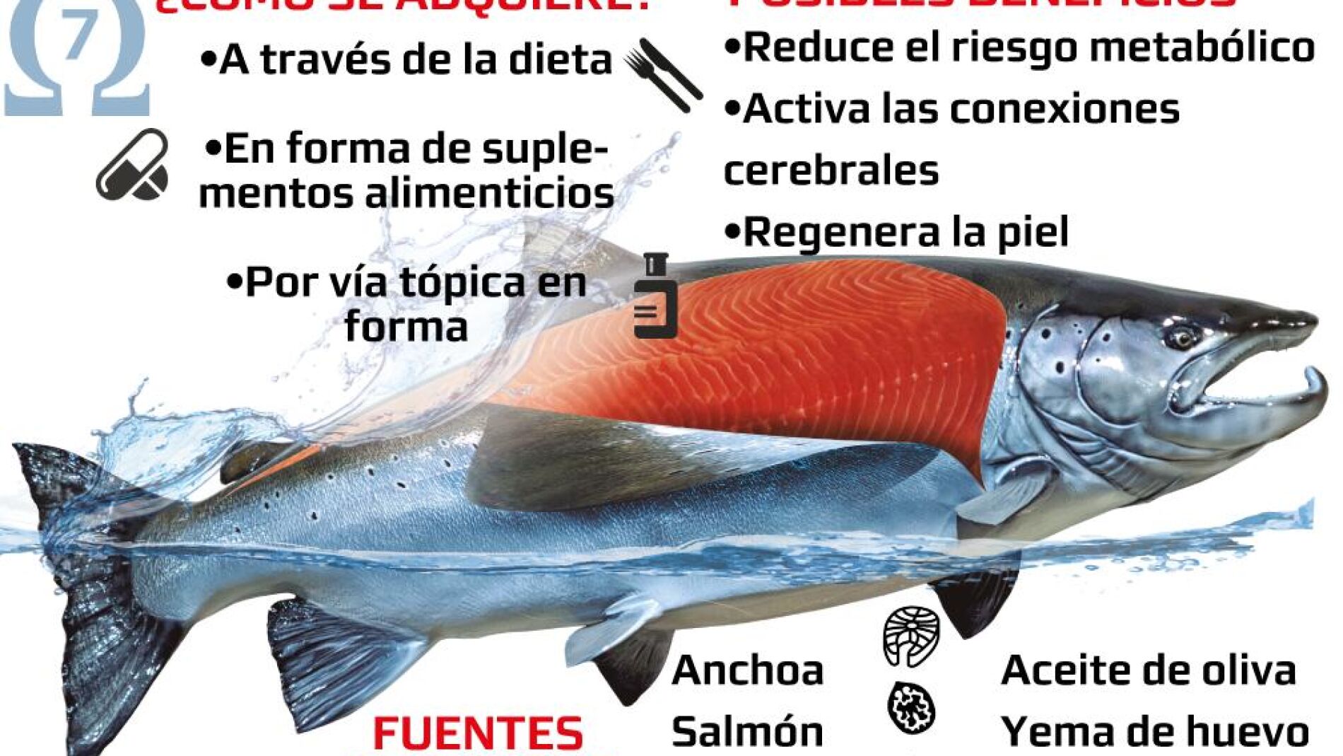 El Omega 7 es bueno para la salud pero faltan evidencias en humanos