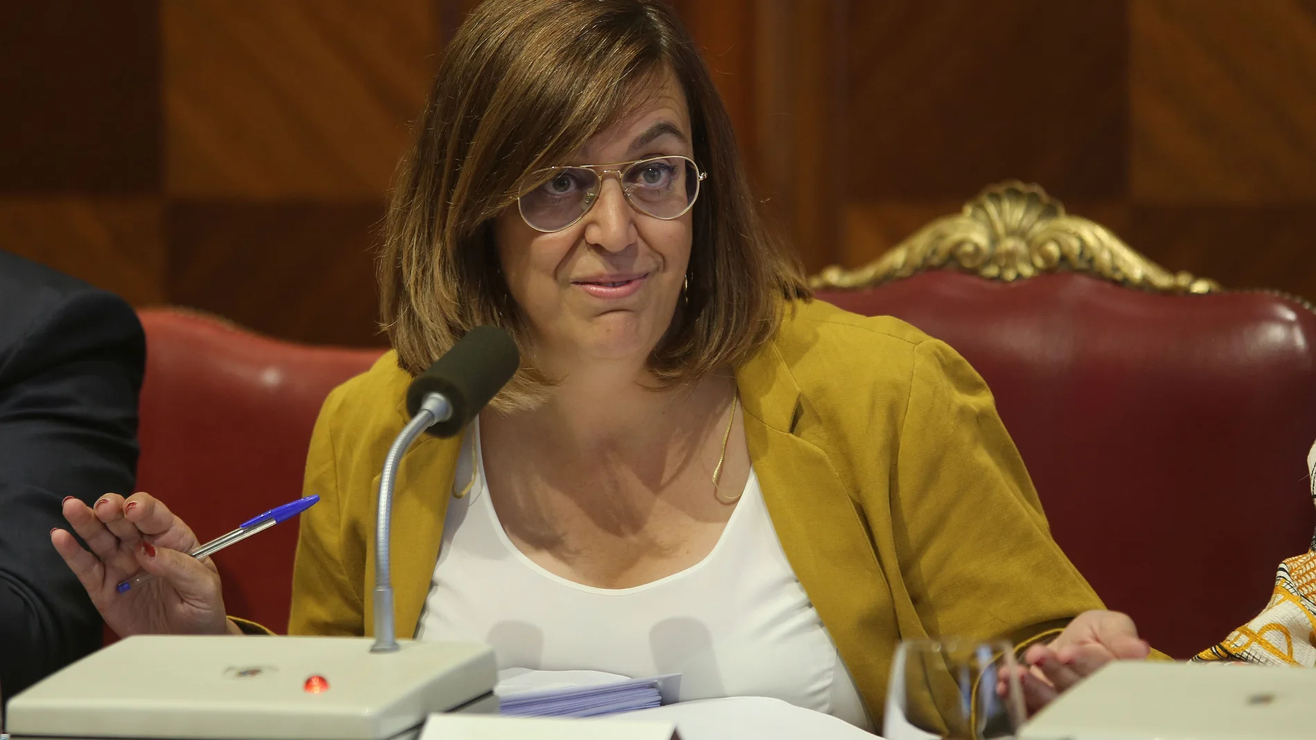 Ángeles Armisén, presidenta de la Diputación de Palencia, durante un Pleno