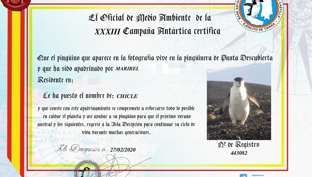 &quot;Chicle&quot; es el nombre de uno de los pingüinos apadrinados gracias a la labor de los militares de la Base Antártica &quot;Gabriel de Castilla&quot;