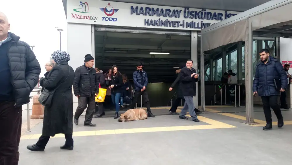 Estación de metro de Usküdar / Foto: Emer Iglesias