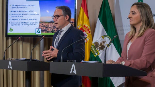 La consejera de Fomento, Marifrán Carazo (d), junto al consejero de Presidencia, Elías Bendodo (i), durante su intevención en la rueda de prensa posterior al Consejo de Gobierno