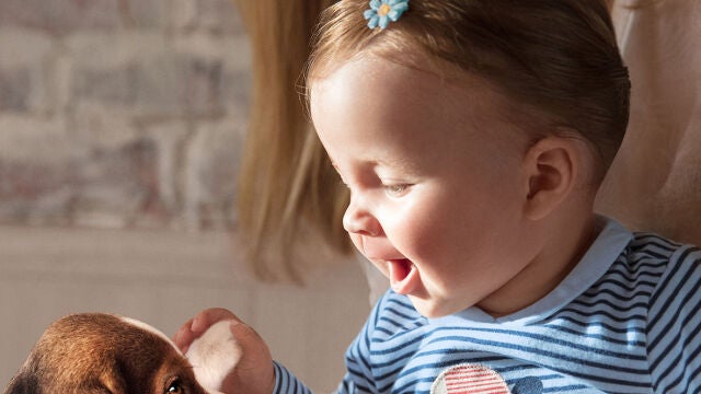 Reforzar el sistema inmunitario de los bebés, uno de los retos de la alimentación en los primeros 1.000 días