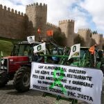 Las organizaciones agrarias UPA y UCCL en la provincia de Ávila realizan una "tractorada" en la capital abulense para reclamar "precios dignos, una PAC más justa y el control del lobo y de la fauna salvaje"