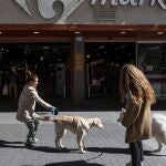 Dos mujeres pasean a sus perros en Valladolid