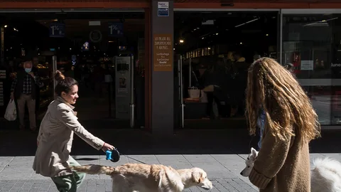 Dos mujeres pasean a sus perros en Valladolid
